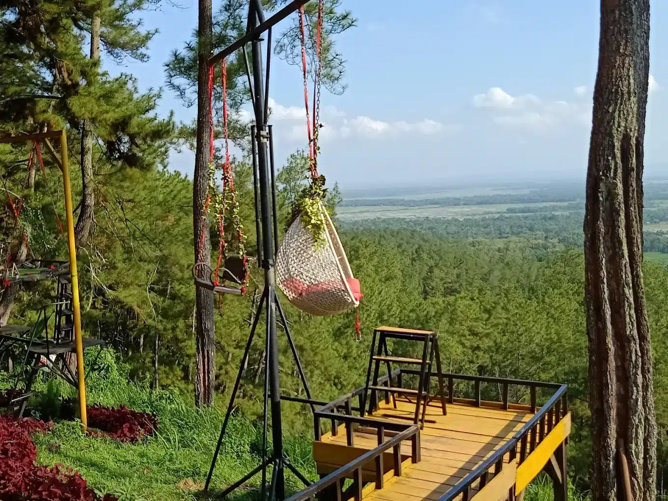 Turiman Bird: Tempat Favorit Burung Cilacap yang Tak Pernah Ketinggalan Zaman